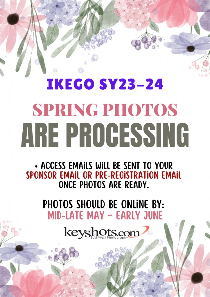 Ikego Spring Sale (Flyer)